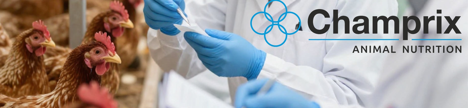 Nutritionist pluimvee Hero