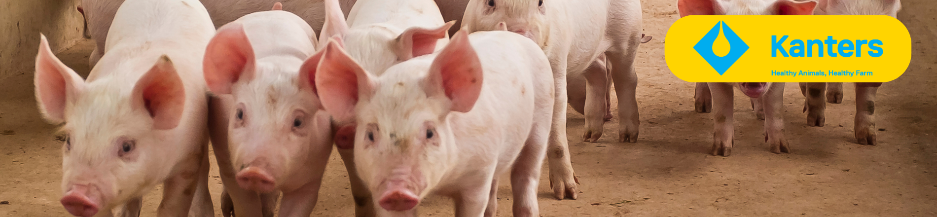 Technical product specialist Hero