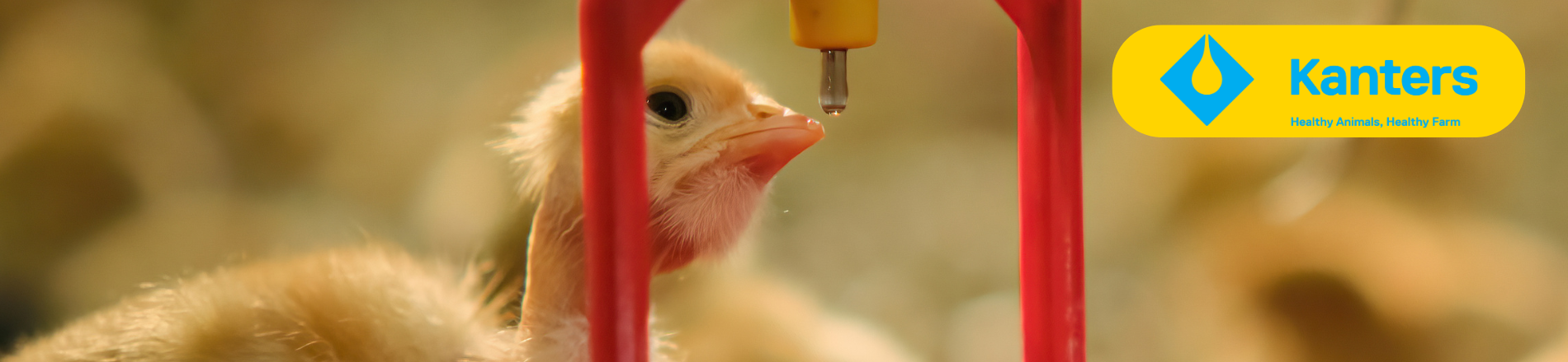 Commercieel adviseur Zuid-Nederland Hero