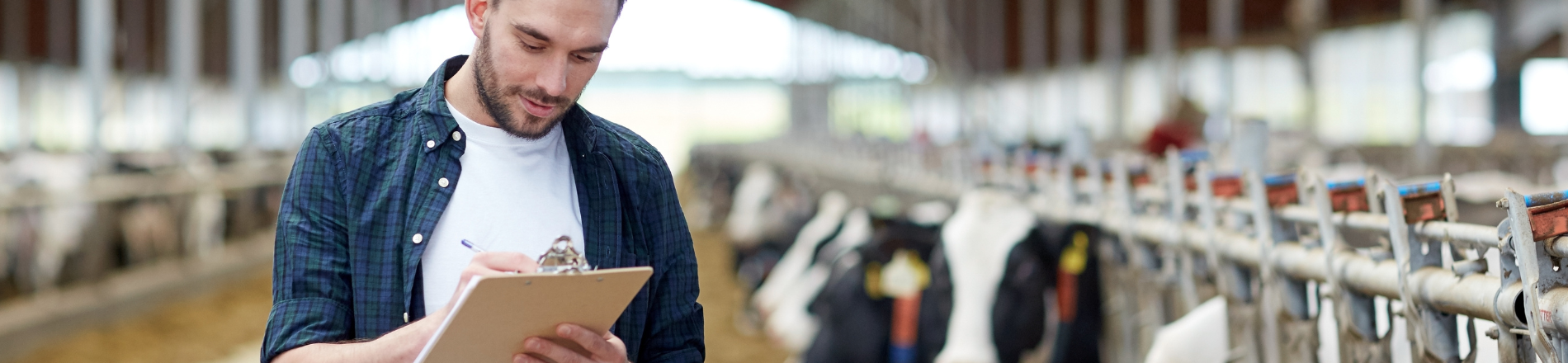 Commercieel Adviseur Rundvee Hero