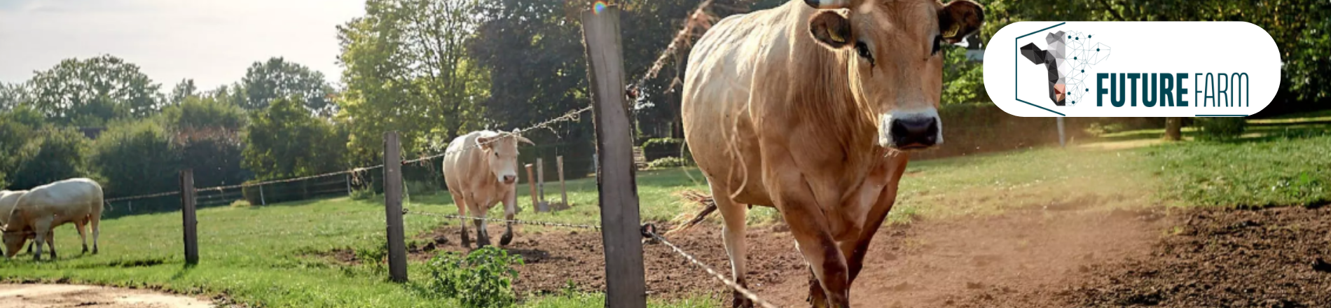 Medewerker Veehouderij Hero