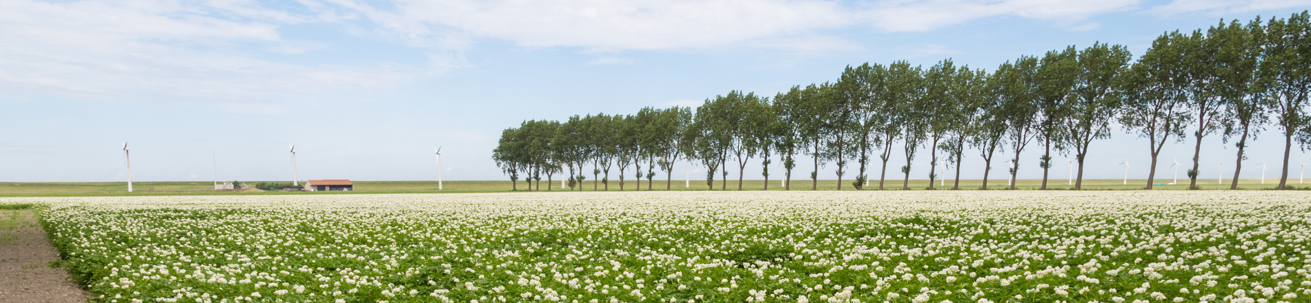 Medewerker administratie en teelt Hero