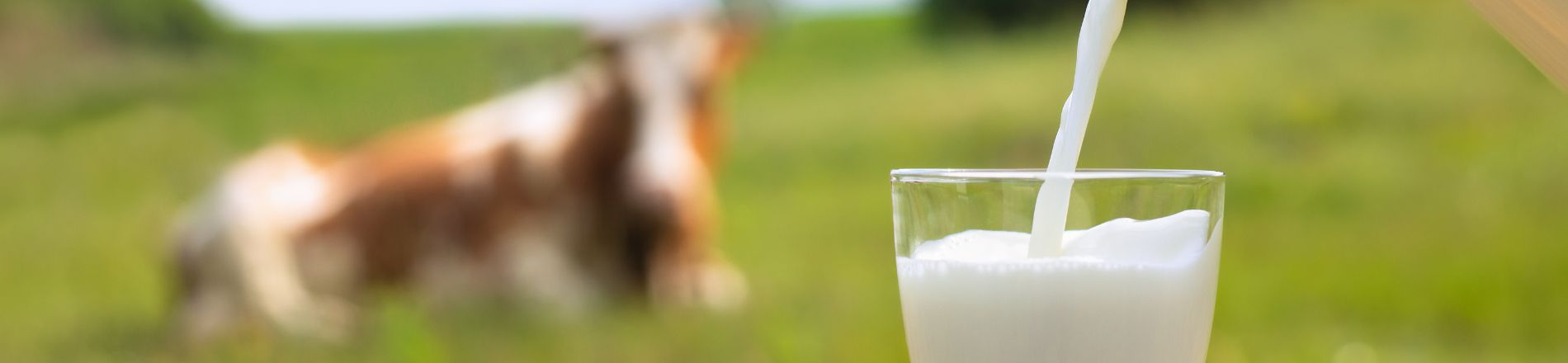 Sales support medewerker-duplicaat Hero